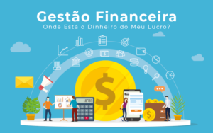 Gestao Financeira Onde Esta O Dinheiro Do Meu Lucro Blog Liz Assessoria Financeira - Escritório Contábil São Paulo